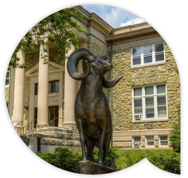 一位阿鲁巴客户，西切斯特大学的Façade